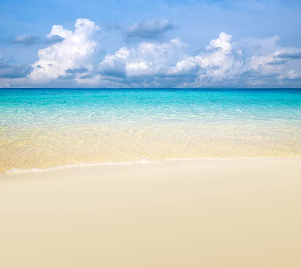 Tropik deniz — Stok fotoğraf