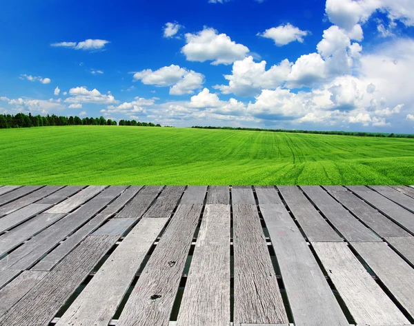 Campo verde — Fotografia de Stock