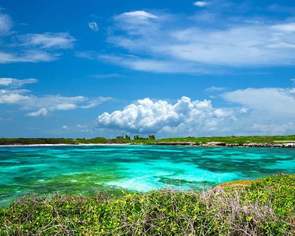 Mare tropicale — Foto Stock