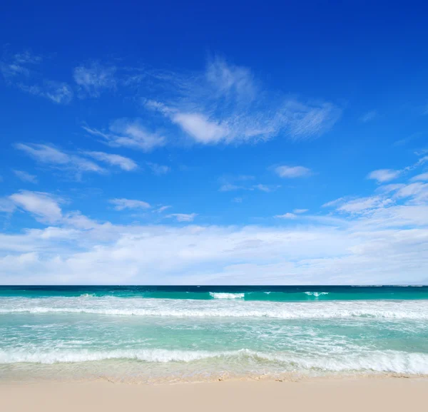 Tropiska havet — Stockfoto