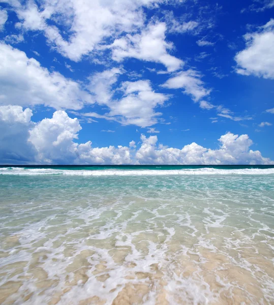 Tropical sea — Stock Photo, Image