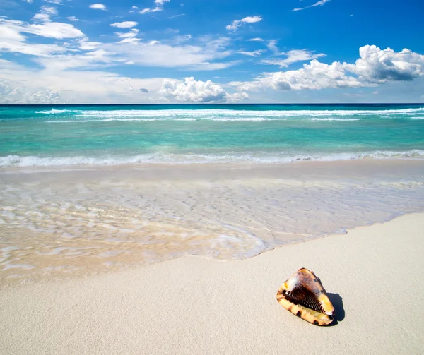 Mar tropical — Fotografia de Stock