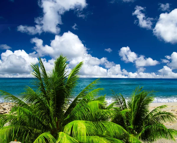 Mare tropicale — Foto Stock