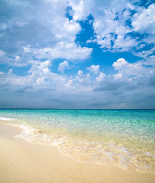 Tropical sea — Stock Photo, Image