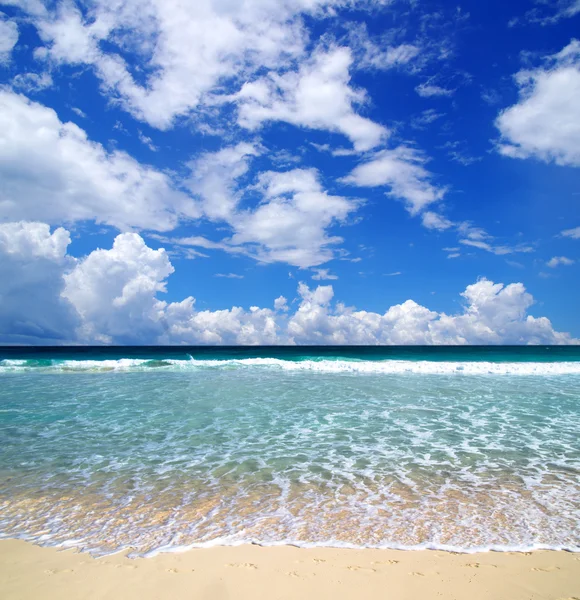 Tropical sea — Stock Photo, Image