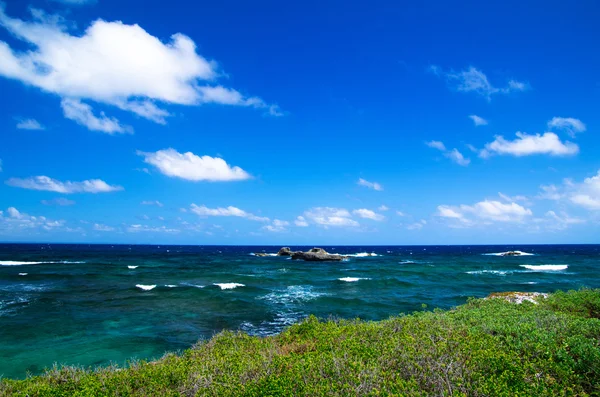 Tropiska havet — Stockfoto