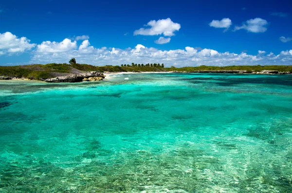 Mar tropical — Fotografia de Stock