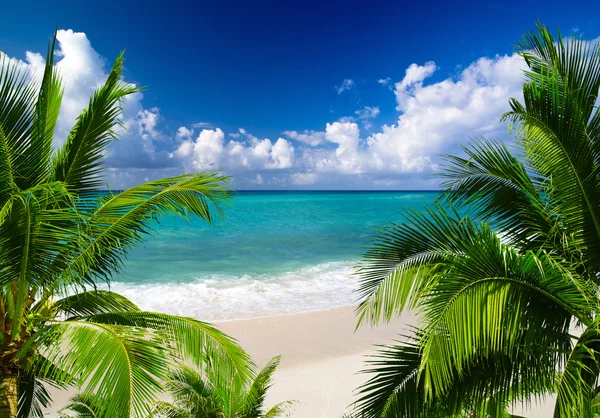 Tropical sea Stock Picture