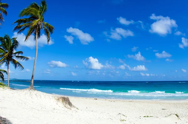 Spiaggia — Foto Stock