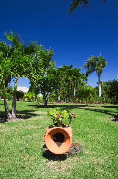 Garten — Stockfoto