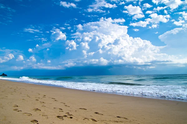 Beach — Stock Photo, Image