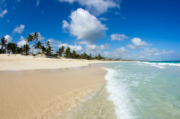 Mer tropicale Photos De Stock Libres De Droits