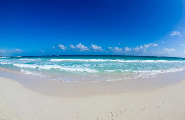 Mare tropicale — Foto Stock