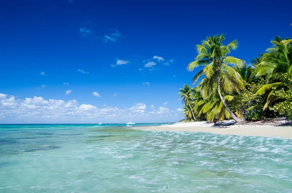 Tropical beach — Stock Photo, Image