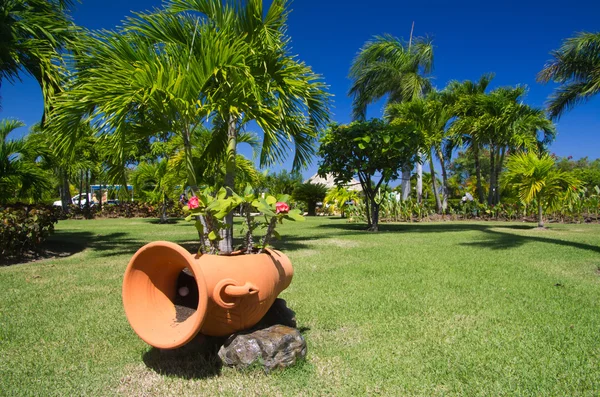 Jardín — Foto de Stock