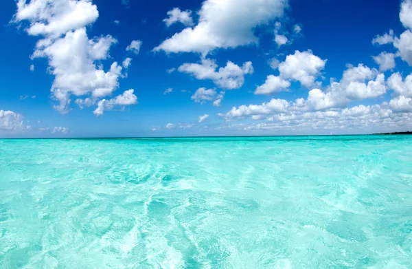 Tropische zee — Stockfoto