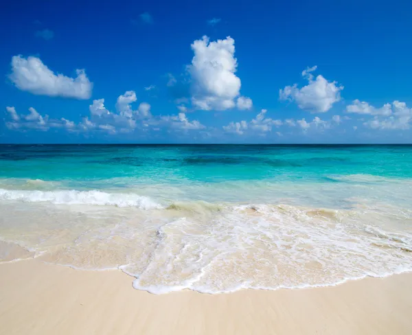 Tropical sea — Stock Photo, Image