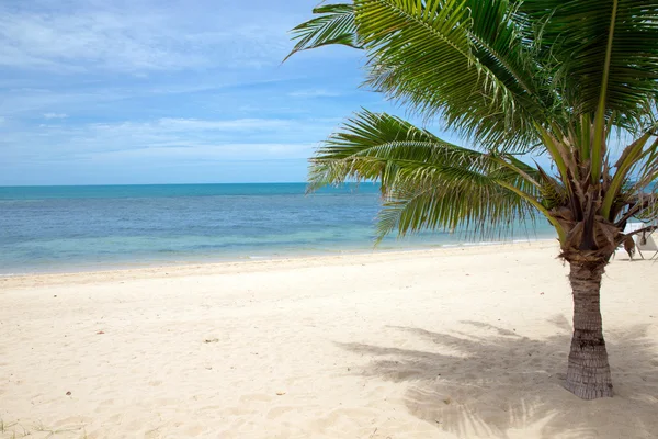 Beach — Stock Photo, Image