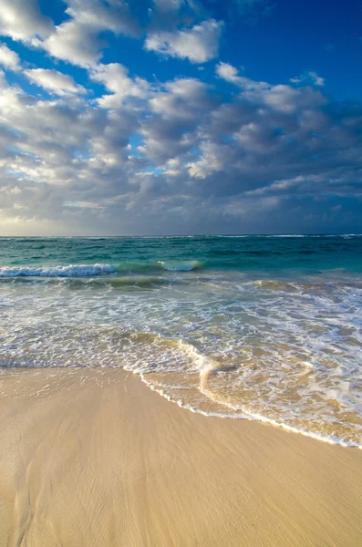 Deniz