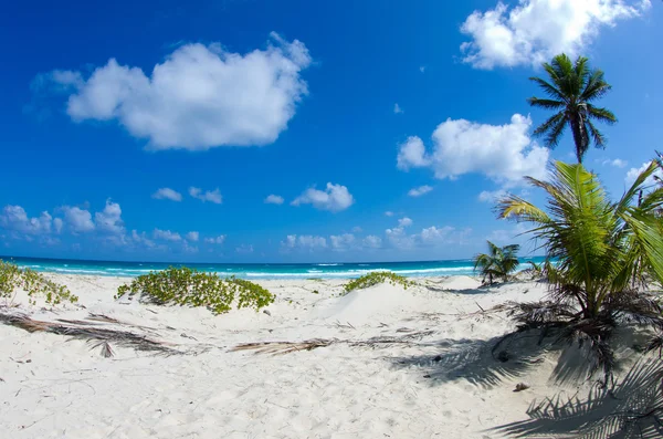 Beach — Stock Photo, Image