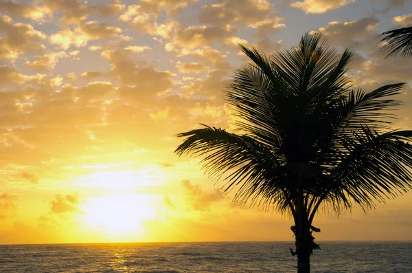 Puesta de sol sobre el mar —  Fotos de Stock