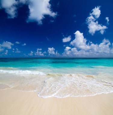 Deniz