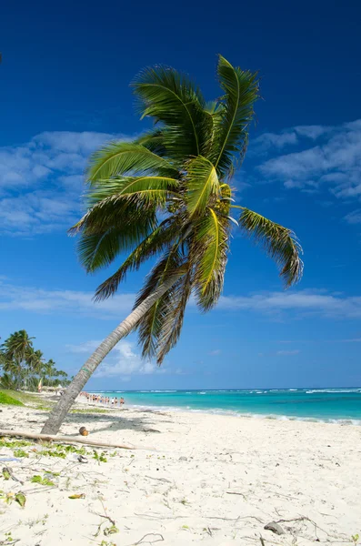 Spiaggia tropicale — Foto Stock