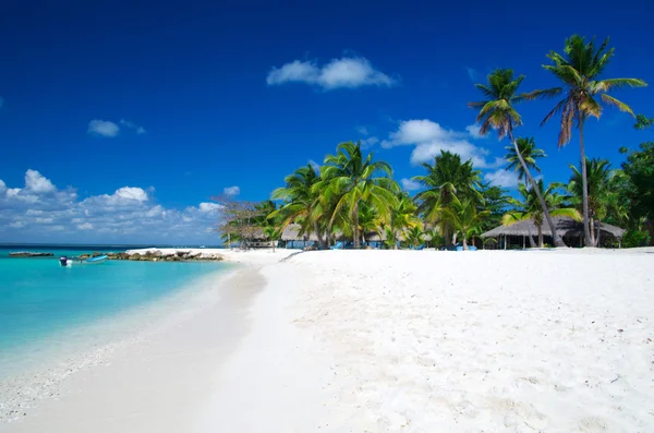 Spiaggia — Foto Stock