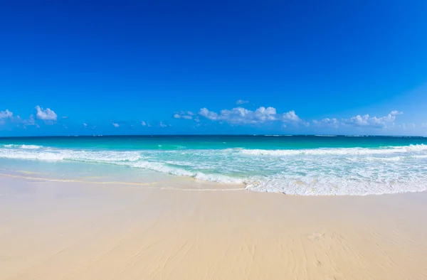 Tropical sea — Stock Photo, Image