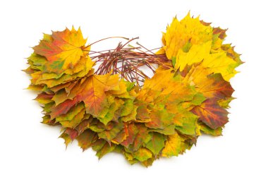 sonbahar yaprakları