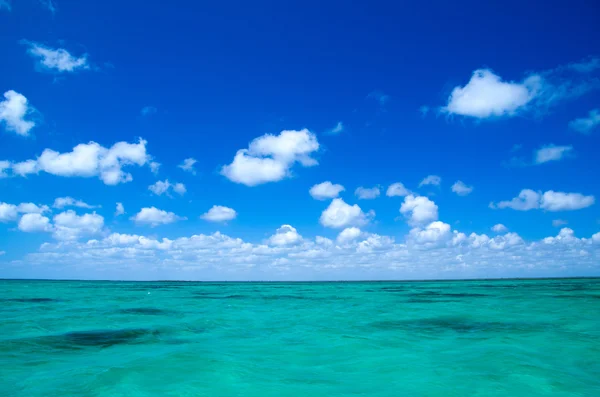 Blue sea — Stock Photo, Image