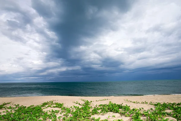 Plage et mer tropicale — Photo