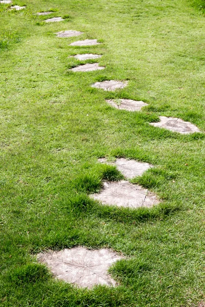 Garden stone path — Stock Photo, Image