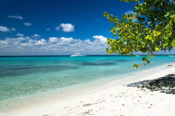 Tropical beach — Stock Photo, Image