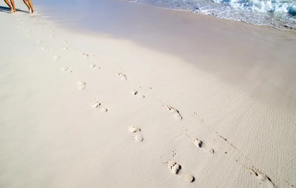 Footprints in beach — Stock Photo, Image