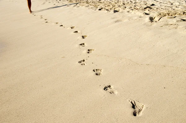 Voetafdrukken in strand — Stockfoto