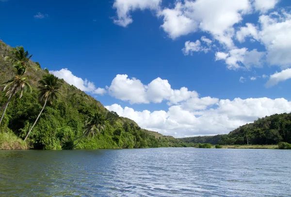 Fiume Chavon — Foto Stock