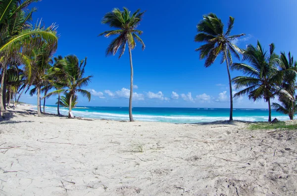 Mar tropical — Foto de Stock