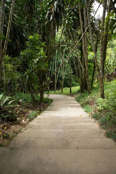 Garden stone path — Stock Photo, Image