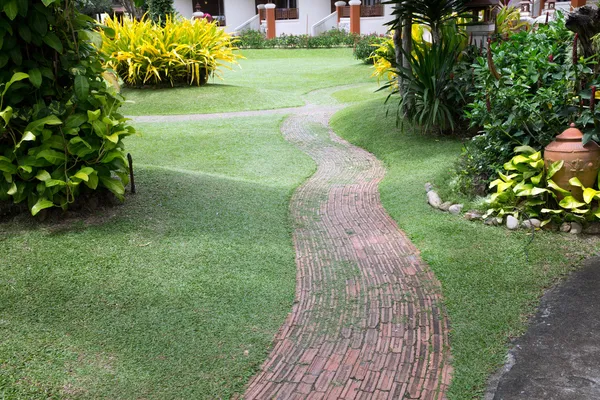 Garden stone path — Stock Photo, Image