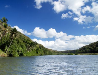 chavon Nehri