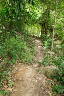 orman