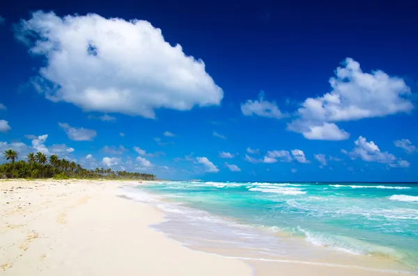 Spiaggia dei Caraibi — Foto Stock