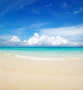 plaj ve tropikal deniz