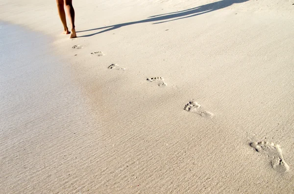 Empreintes de pas dans la plage — Photo