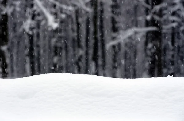 Floresta de Inverno — Fotografia de Stock