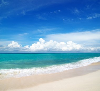 plaj ve tropikal deniz