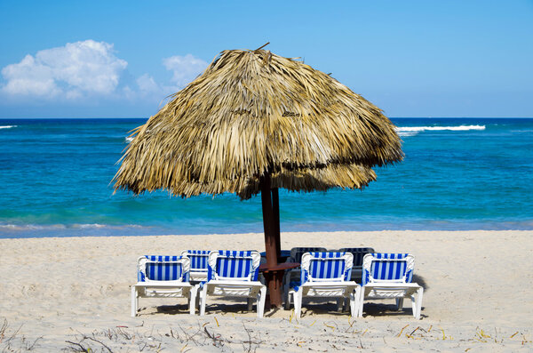 Тропическое море
