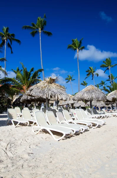 Caribbean Beach — Stock Photo, Image