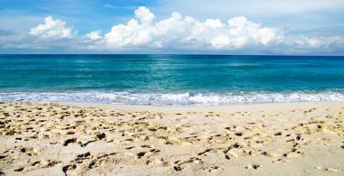 plaj ve tropikal deniz